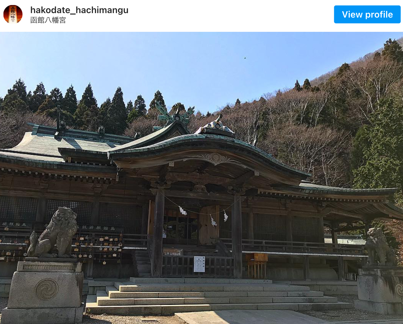 小松菜奈と菅田将暉結婚の函館八幡宮